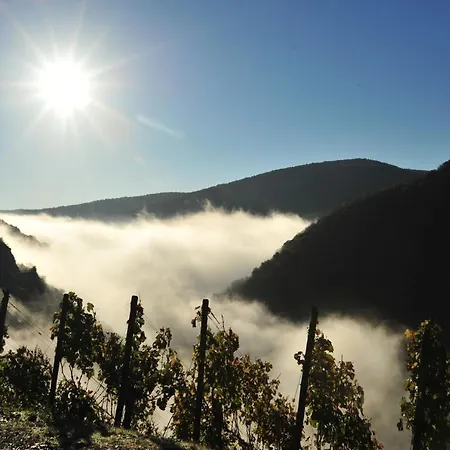 Arwilere