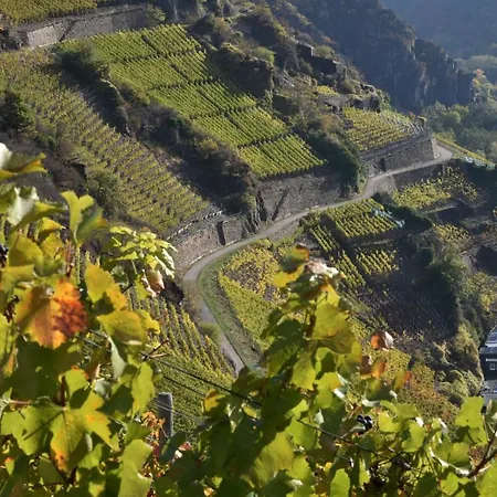 Arwilere 公寓 巴特诺因阿尔-阿尔韦勒