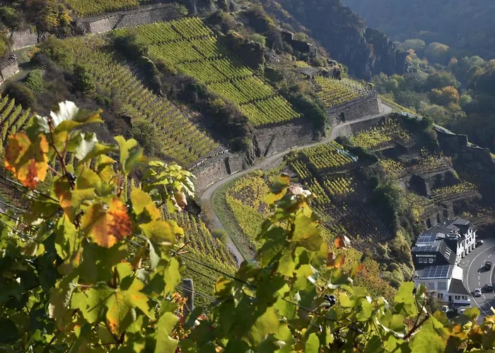 Arwilere Lägenhet Bad Neuenahr-Ahrweiler